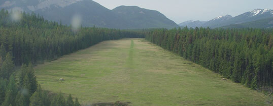 scenic view of greenery and mountains at red eagle aviation 6