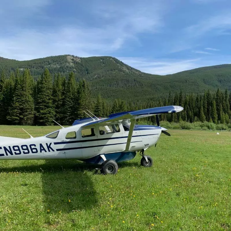 scenic view of greenery and mountains at red eagle aviation 4